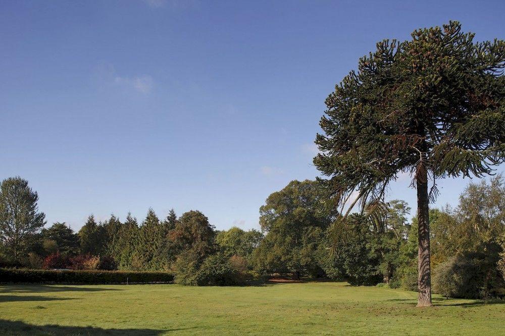 Woodland Grange Hotel Lillington  Exterior photo